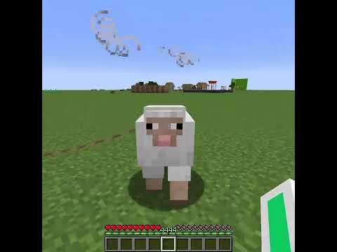 Cursed Angry Sheep in Minecraft