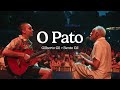 "O Pato" | Gilberto Gil e Bento Gil - Viajando com os Gil