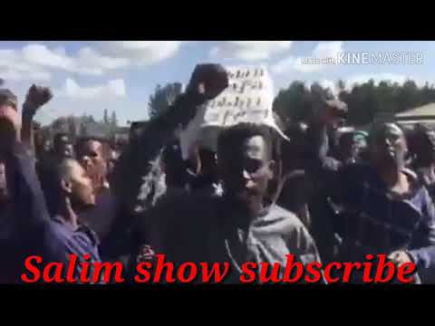 Jafar yusuf mastar pilani lammaffa