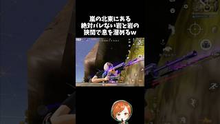 真上に敵が居るのに見つからない最強の岩の隙間ｗｗ【#荒野行動】# Knives Out  #荒野アプデ  #荒野夏祭り  #嵐の半島 #荒野聖杯戦争