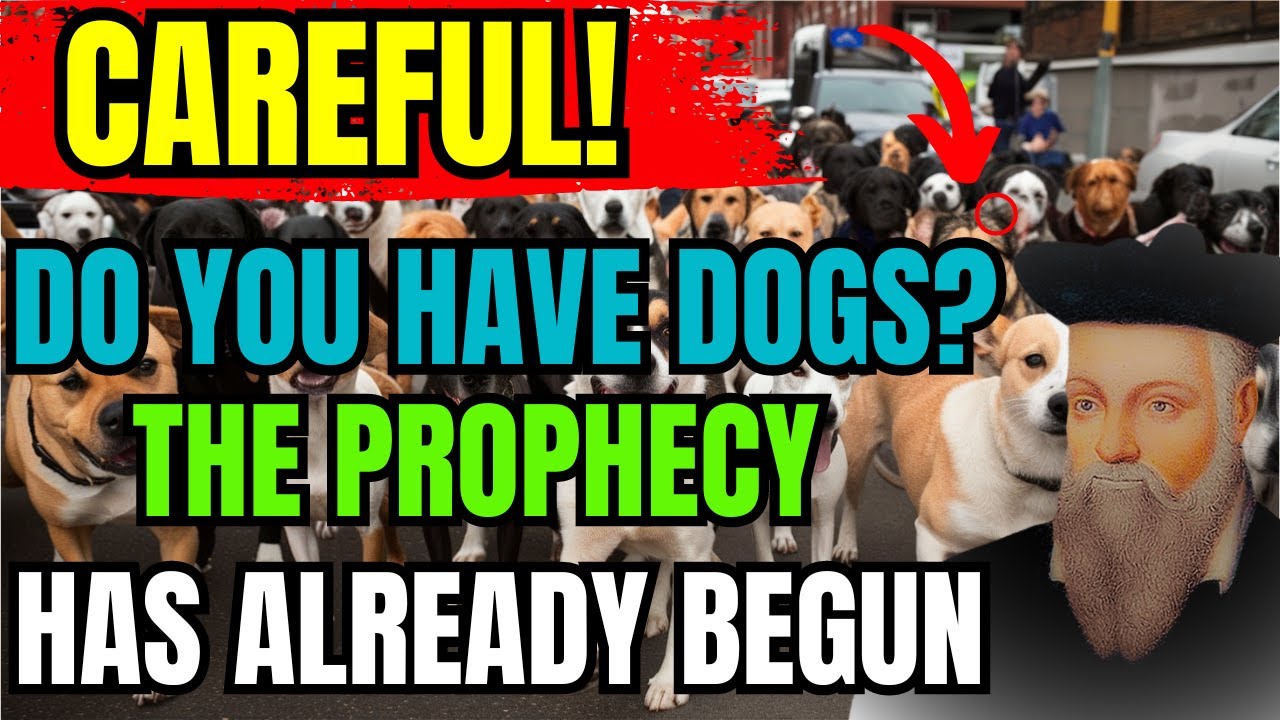 SHOCKING: What Nostradamus Predicted for Those Who Have a DOG at Home | Prophecies Revealed