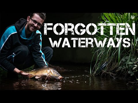 Fishing Tiny Streams | Jack Griffiths | BIG SURPRISE CATCH!