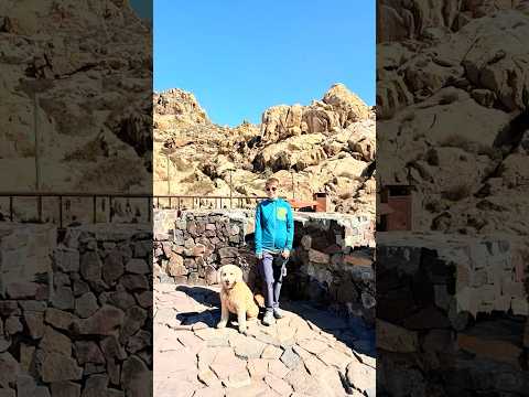 🇨🇱 Visitando La Serena, Coquimbo y Vicuña en Chile | Faro, Fuerte y Valle del Elqui