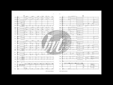 Flight of the Albatross - Wouter Vercruysse (fanfare band)