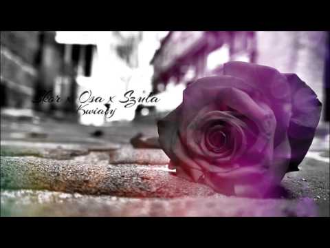 Skor x Osa x Szula - Kwiaty (Miszel Blend)