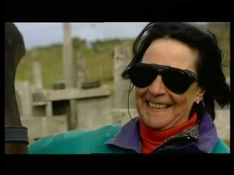 Feuerland: Pinguine  -   Mike Bingham with Penguins - Beautiful German Documentary by Mare TV