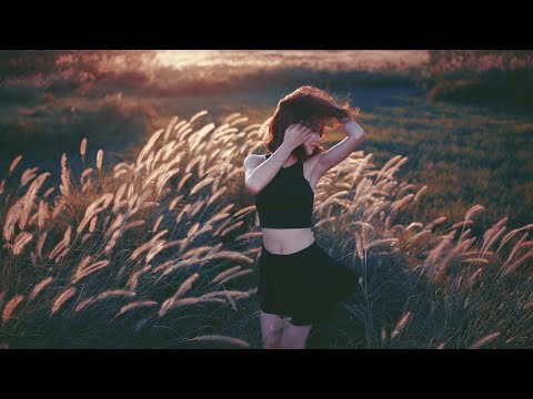 Terry Gaters - Little Too Much (Original Mix) | Synth Collective | Melodic Progressive House