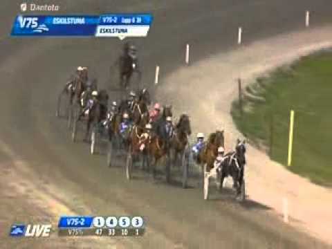 E3 Stuten Final 2013 -Mellby Briolett