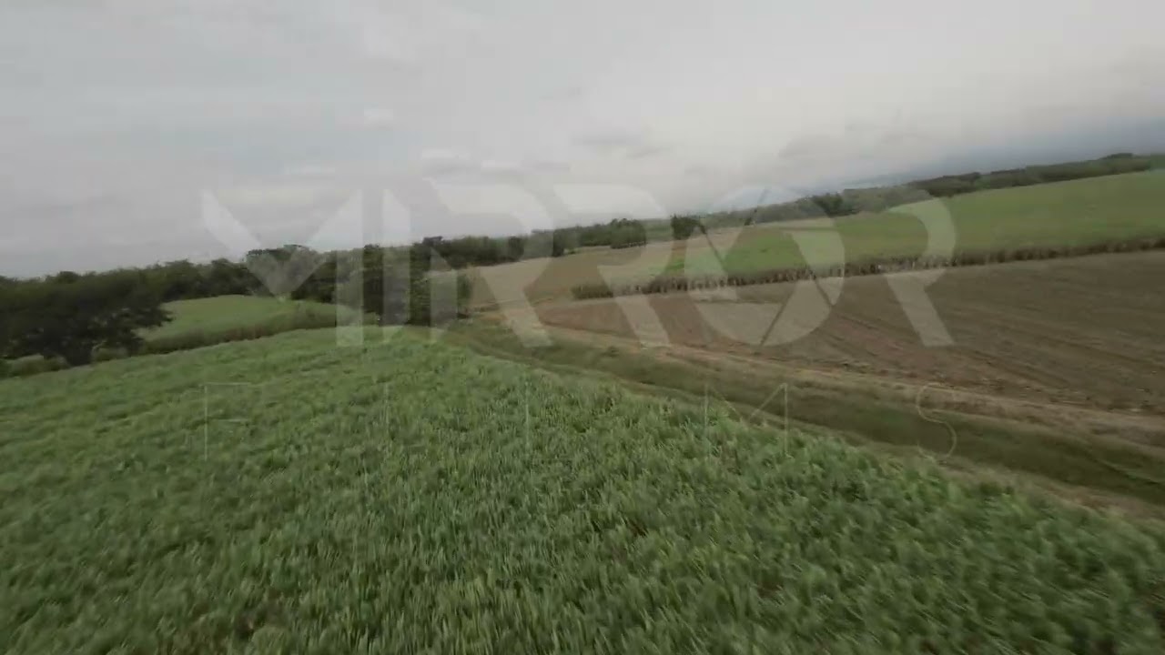 Cultivo de Caña FPV P3