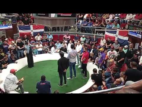 nuevas reglas en el Coliseo de Santiago el monstruo de los Gallos finos de combates 🐥🐓🇩🇴🔥💪🏿✍🙌🏻