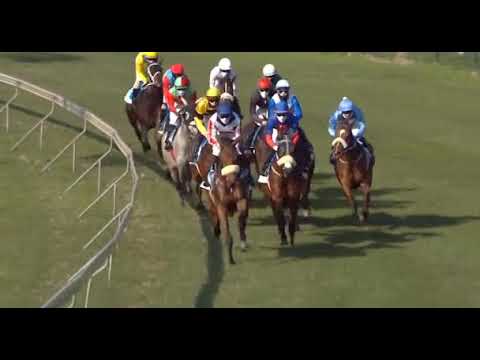 Moon In June - 2020 Track And Ball Oaks