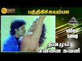 பத்திகிச்சுயம்மா பம்பர வயசு HD Video Song தி�