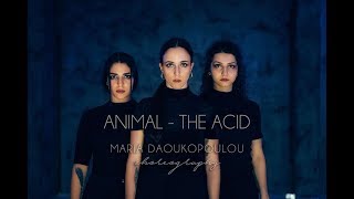 Animal - The Acid | Maria Daoukopoulou Choreography