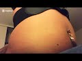 VORE BELLY A Talking Prey Inside The Gut