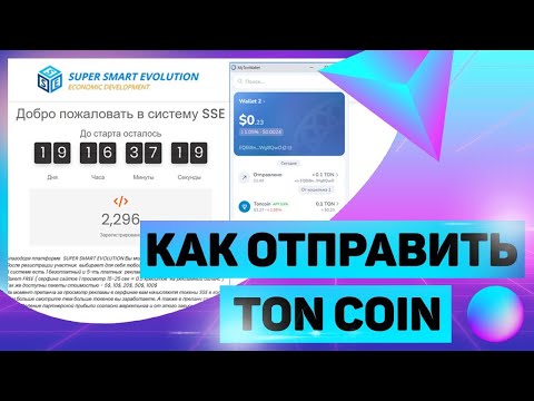 SuperSmartEvolution. Как вывести криптовалюту TON из кошелька.