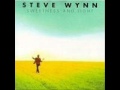 Steve Wynn Blood from a Stone