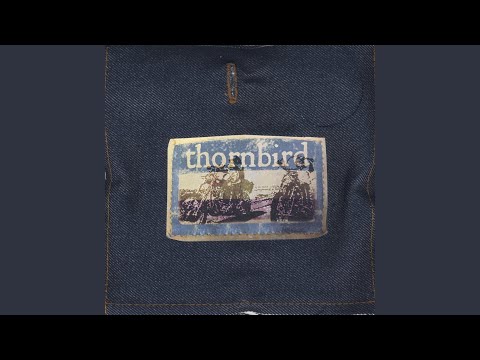 Just Say You Love Me