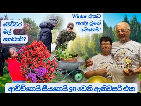 ආච්චිගෙයි සීයගෙයි golden jubilee!🏆🌟| අපේ cleaning campaign එක🧹| Ready for the winter!❄️☃️#sinhala