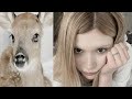 Bambi Beauty