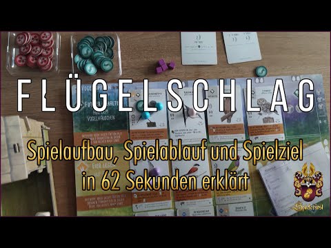 Flügelschlag in 62 Sekunden | Spielaufbau, Spielablauf und Spielziel kurz erklärt