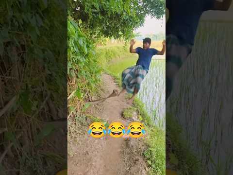 Epic Funny Video 😂😂😂 #funny #shorts #viralshorts #comedy #funnymoments #fails #humor