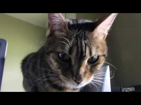 Keisha woke up on the wrong side of the bed today.