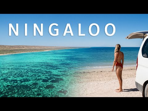 Our favourite place in Australia (Ningaloo Reef) | Ep. 35
