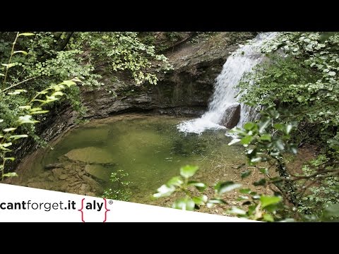 Digital Diary Belluno | Into the nature