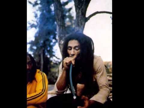 Majesty Son - Chronic