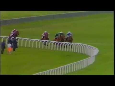 Top 10 Irish Derby Winners 1989 - 2011