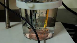 Uji Polarisasi CMPFA UI