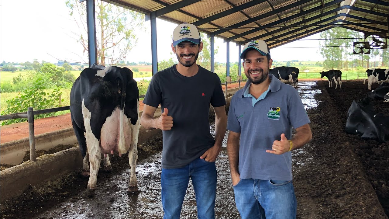 COMPOST BARN PARA 120 ANIMAIS! UM POUCO DO MANEJO DA FAZENDA CONQUISTA DO NOSSO AMIGO PAULO EDUARDO!