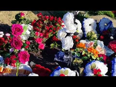 Mohammed Yassar Yaqub assassinated What happened? #JUSTICEFORYASSAR