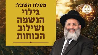 מעלת השכל - גילוי הנשמה ושילוב הכוחות | סדרת חינוך ה'תשפ"ה - ספר חובת התלמידים | שיעור 56