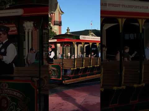 Main Street USA Trolley | #disneyworld #magickingdom #mainstreetusa #horse #travel #acouplenewthings