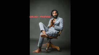 Ginjah - Propose (Official Audio) (New Song) (June 2025)