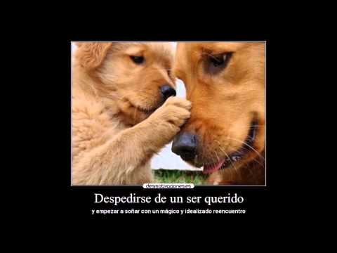 El Dolor De Una Partida - Jhonny Rivera