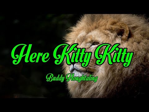 Here Kitty Kitty - Buddy Houghtaling
