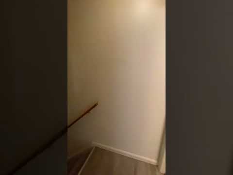 Ann Rd - Video 2 of 2