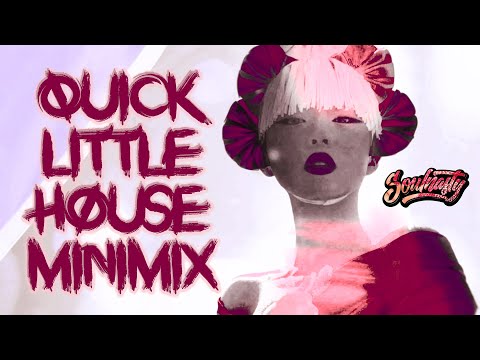 Soulnasty's Quick Little House MiniMix | Dance House Mix | Party Music