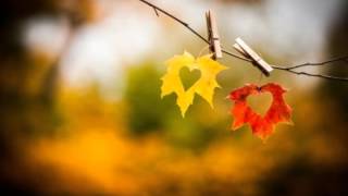 Yndi Halda - Together These Leaves