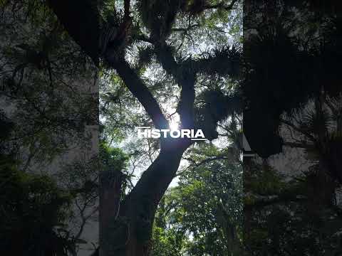 Respira profundo, estás en El Fuerte 🌿✨🍃 #venezuela #turismo #travesia #viajeinolvidable #travel