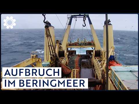 Fishing in the Bering Sea: USA and Russia in the fight for salmon