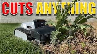 MUCH MORE Than Your Average Mower