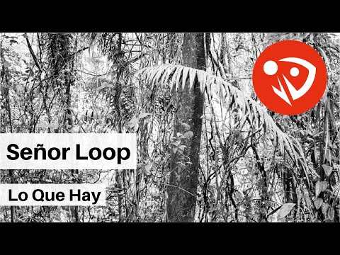 Señor Loop - Lo Que Hay (Audio Oficial)