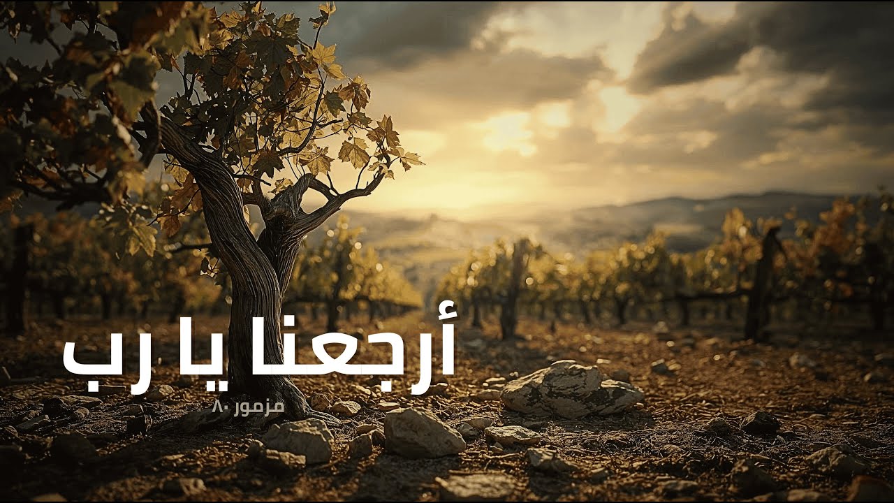 فيديو تفسير الكتاب المقدس | الكتاب المقدس رفيقي