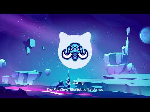 The FifthGuys, Biometrix, Nat James - Seizure