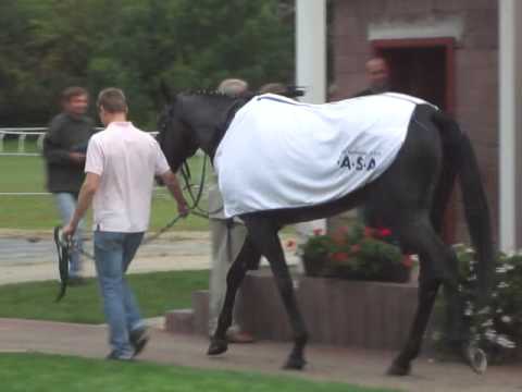 Ronino dekorování - vítězství IV. kvalifikace na 122. Velkou Pardubickou steeplechase