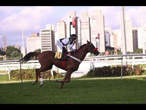 GP Presidente Luiz Oliveira de Barros (G2) 2025