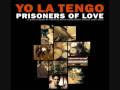 Yo La Tengo - Ashes On The Ground (Live)